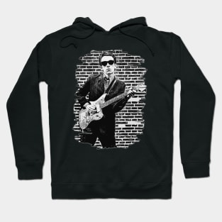 Elvis costello \ Brush Art Hoodie